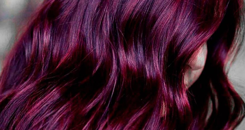 قانون استفاده از واریاسیون بنفش برای رنگ موی شرابی