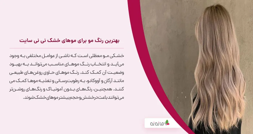 بهترین رنگ مو برای موهای خشک نی نی سایت