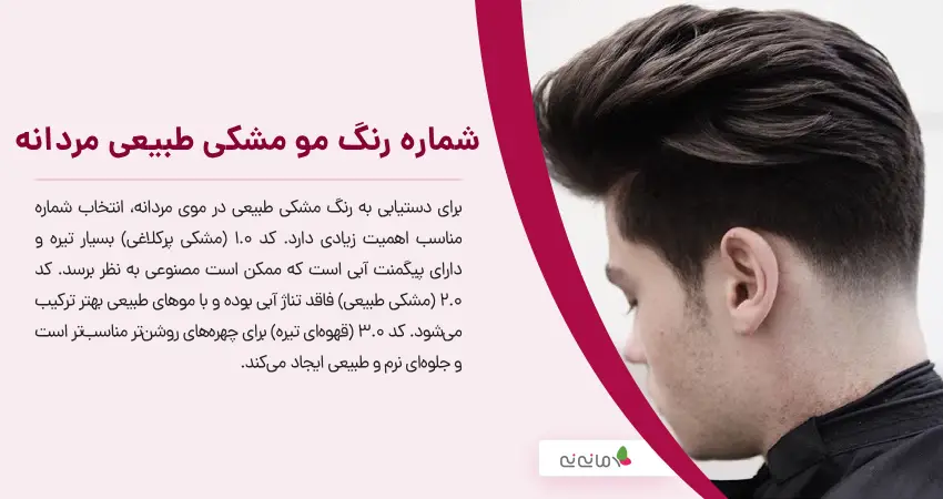 شماره رنگ مو مشکی طبیعی مردانه