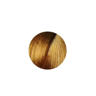 رنگ مو سری عسلی - بلوند عسلی روشن شماره 8.34 دوماسی domacy