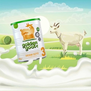 golden-goat-3