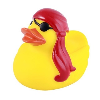 umee-duck-8